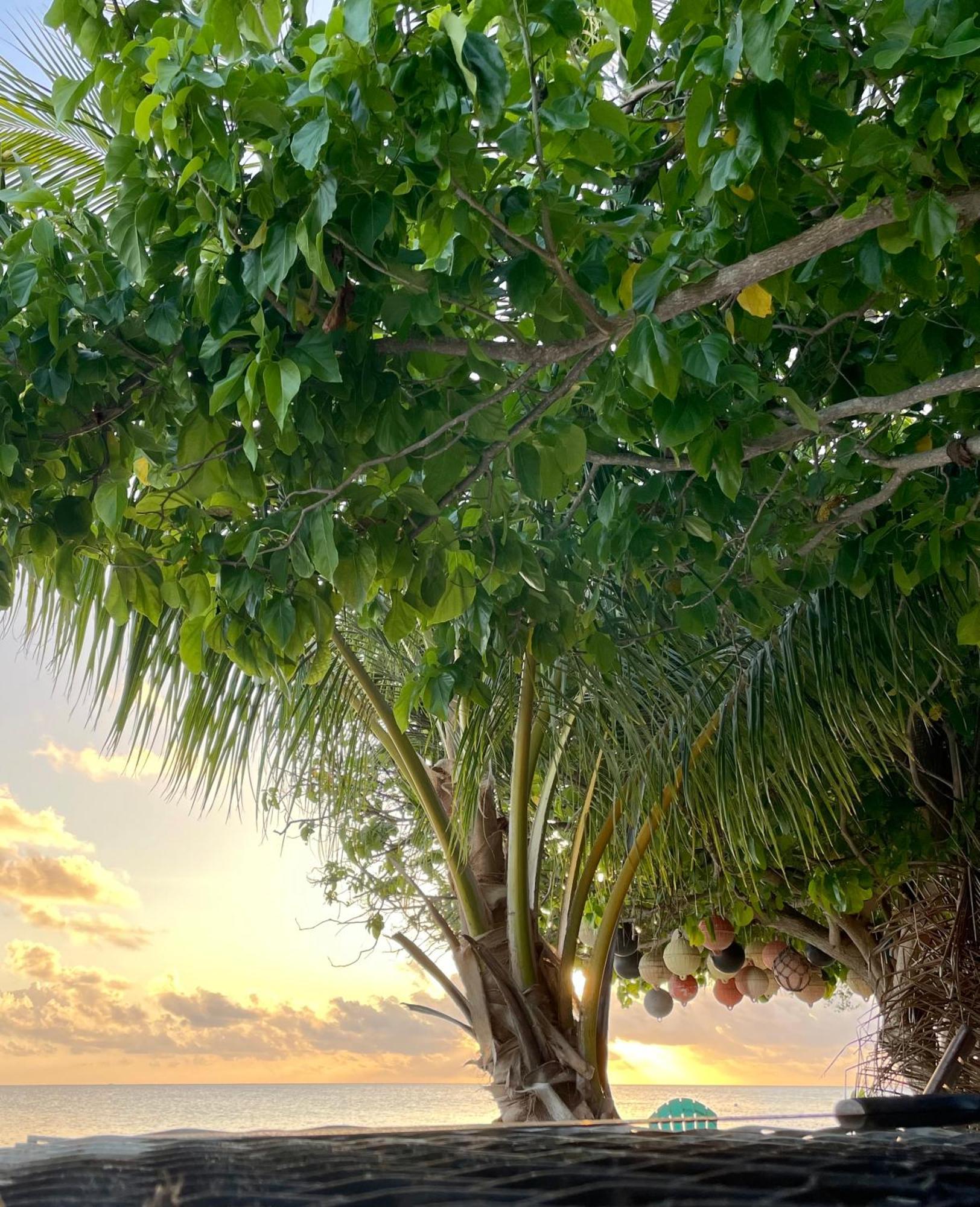 Rangiroa Beach House Avatoru 外观 照片