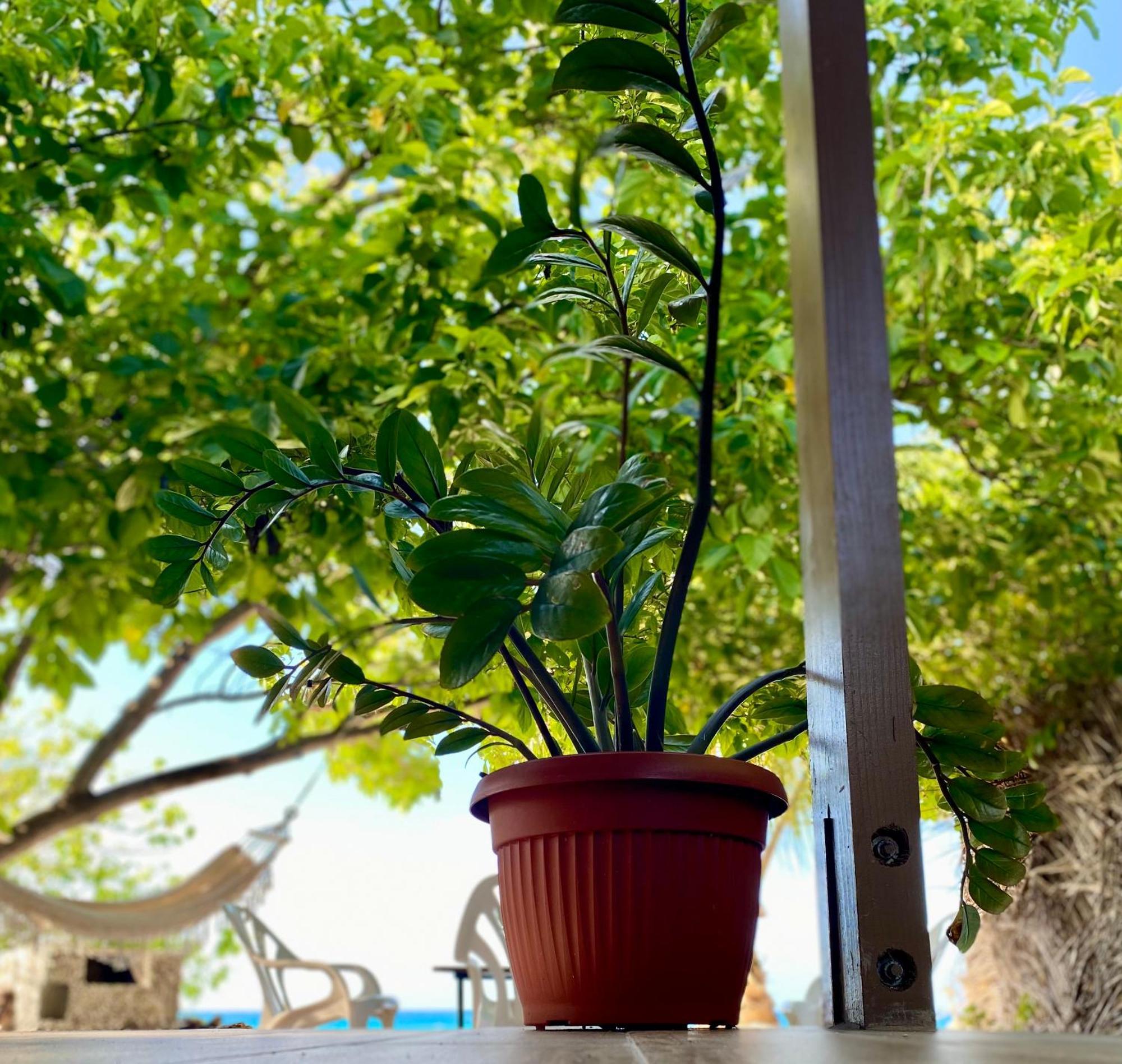 Rangiroa Beach House Avatoru 外观 照片